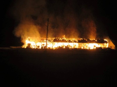 Optimized-intervencija brest skedenj 2016