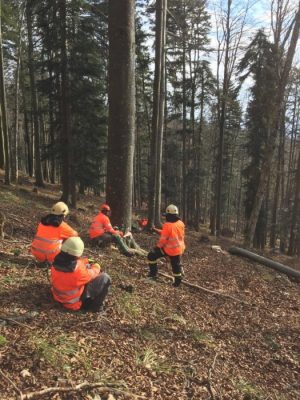 optimized-15397773_1267314789957741_936310996_o