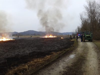 Požari na travniških površinah 15.3.2017, 16:09